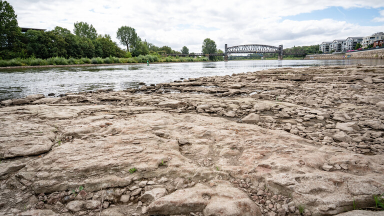 Deutlich niedriger Wasserstand in der Elbe im August 2026