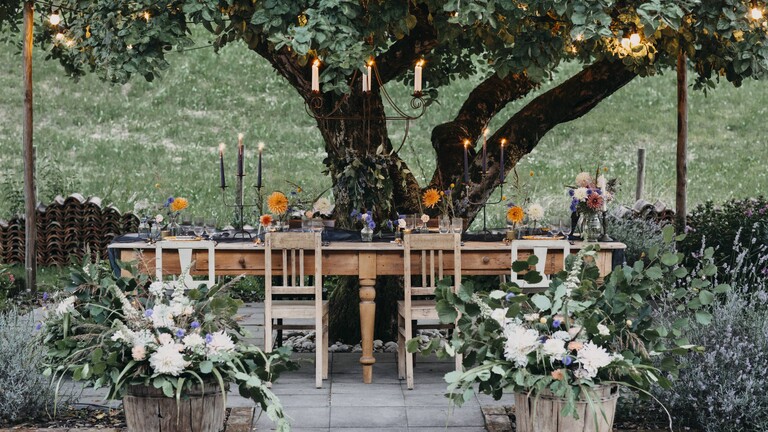 Ein festlich geschmückter Tisch unter einem Baum.