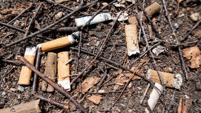 Foto von älteren und neueren Zigarettenstummeln, die auf einem erdigen Boden liegen