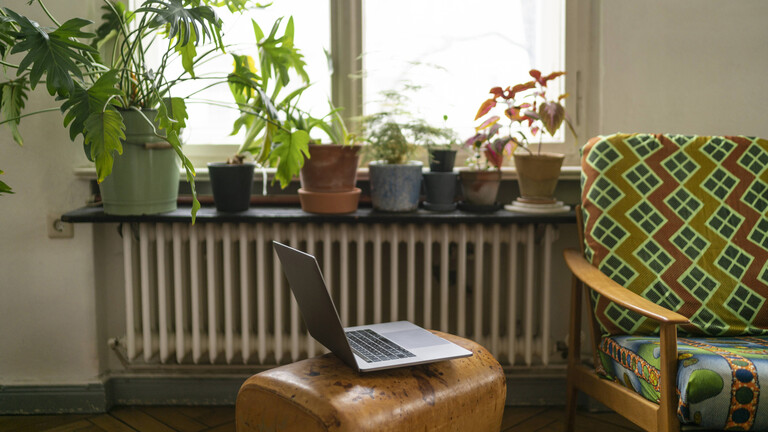Ein Laptop neben einer Couch. Im Hintergrund Pflanzen auf der Fensterbank.