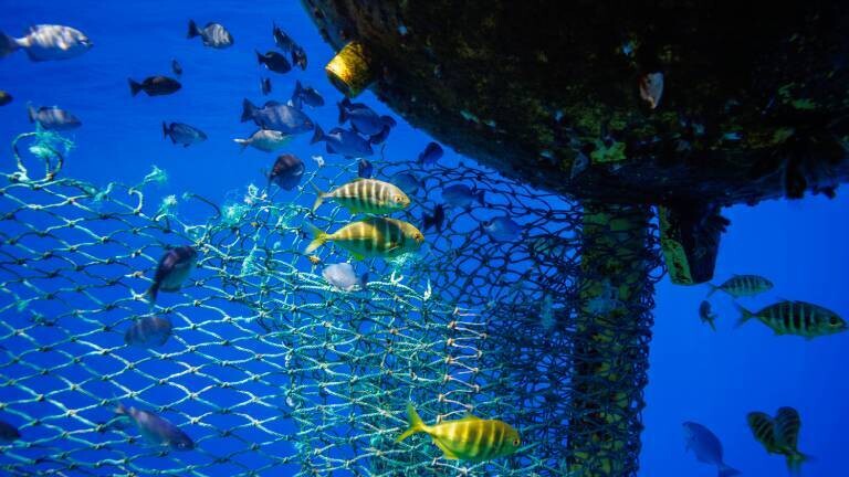 Unterwasseraufnahme winziger, silberner Jungfische, die dicht gedrängt im tiefblauen Ozean Schutz unter einem künstlichen Fischsammler (FAD) suchen.