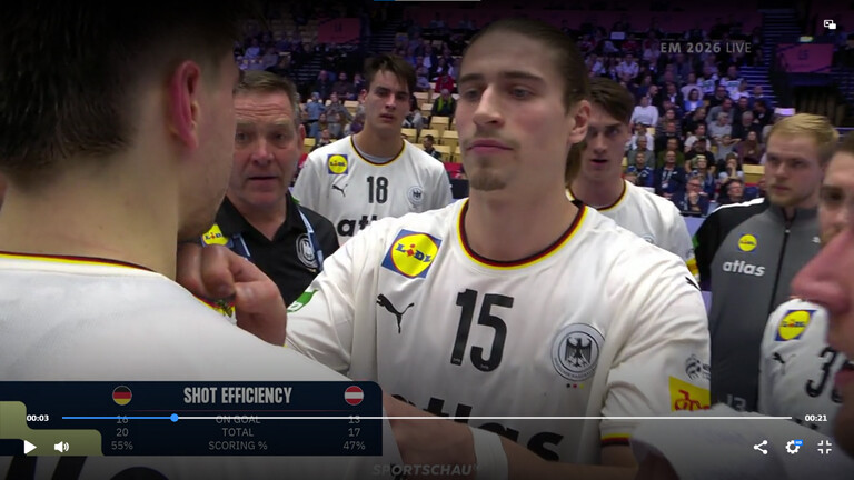 Wespe auf Handballspieler